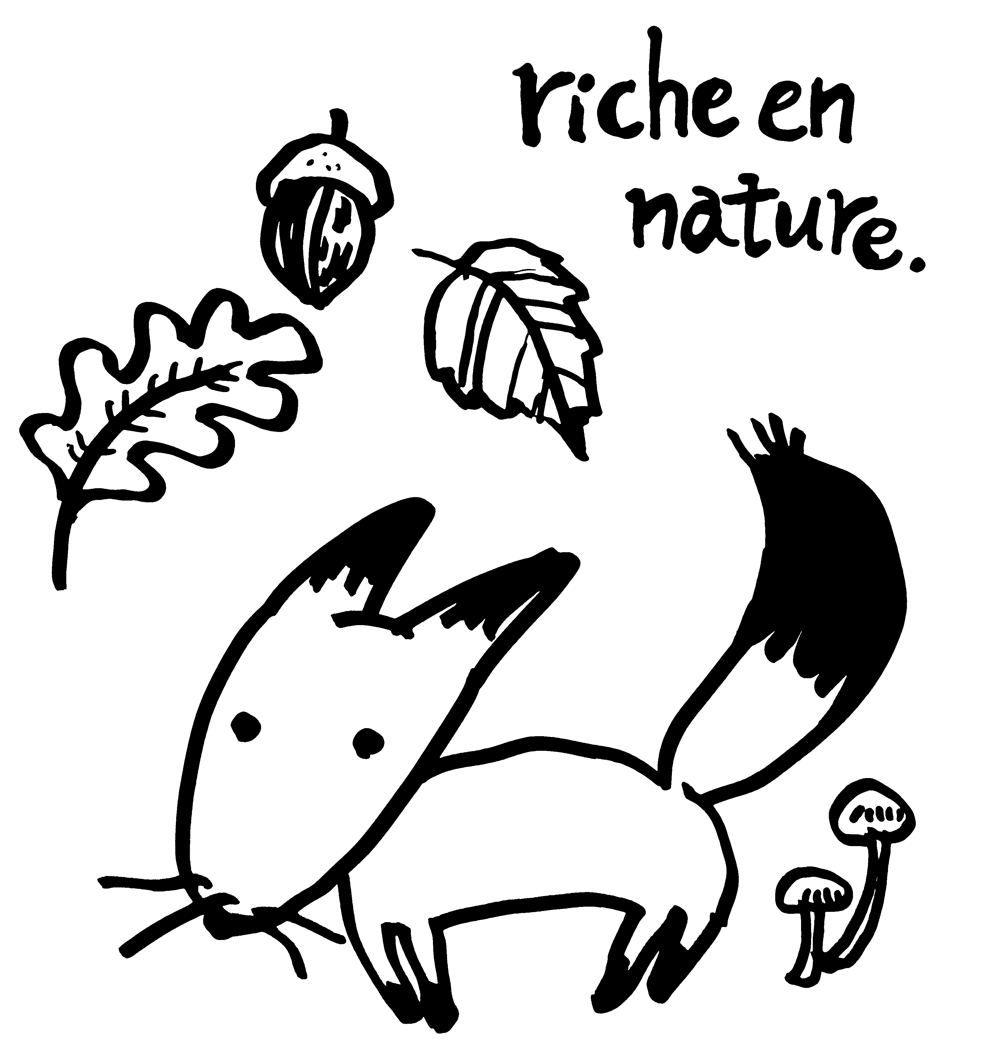 EggnWorks Museum エッグンワークス ミュージアム きつねねね