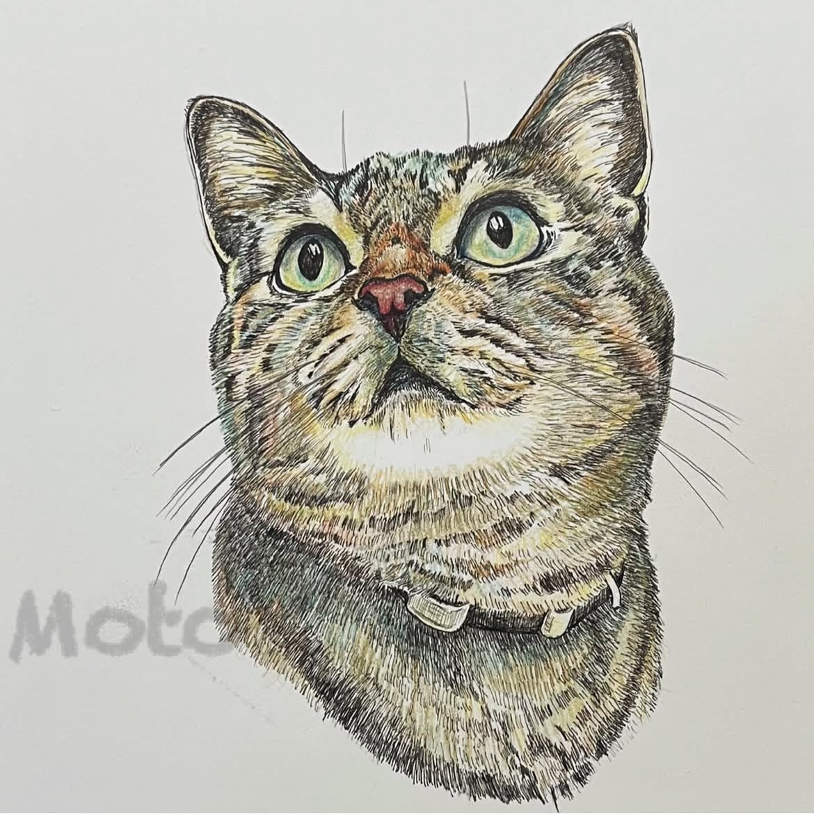 全国デザイン選手権　ポストカード　ステッカー　ツクルヒトタチ博in京都文化博物館2025 EggnWorks Museum エッグンワークス ミュージアム ねこのポートレート1もと