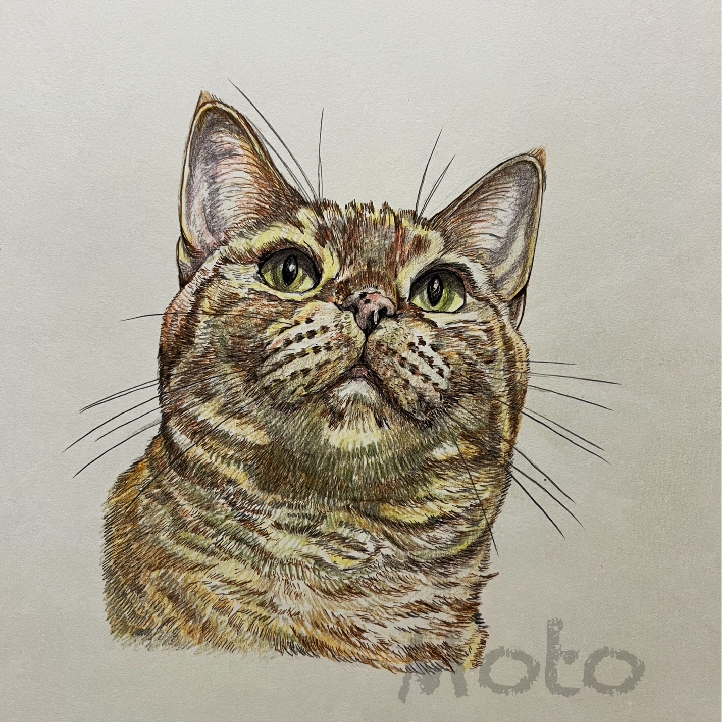 EGGNWORKS エッグンワークス ツクルヒトタチ博in京都文化博物館2025 ねこのポートレート2 もと