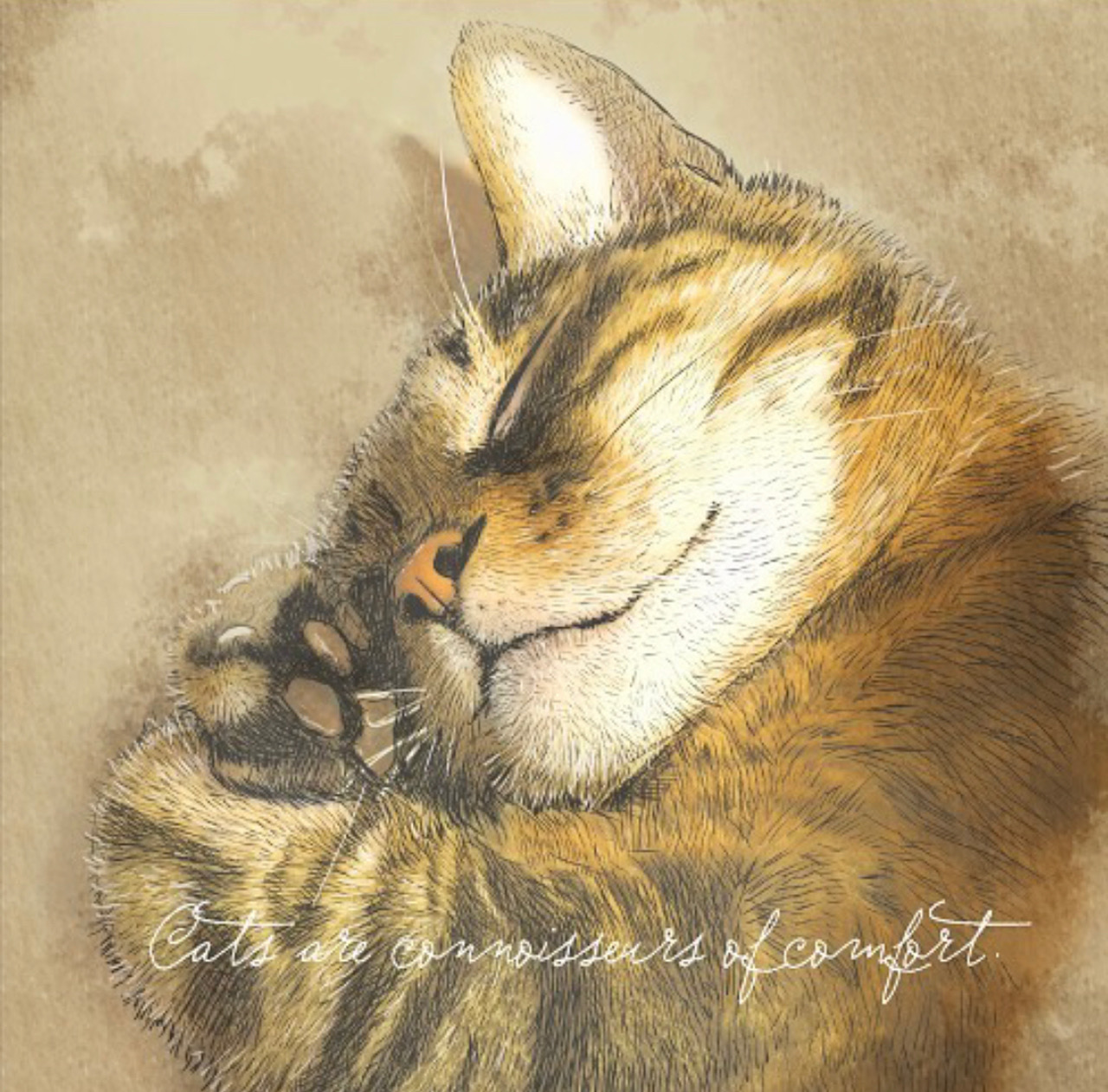 EggnWorks Museum エッグンワークス ミュージアム 写し絵作家TORAKICHI　猫マスキングテープTORAKICHI