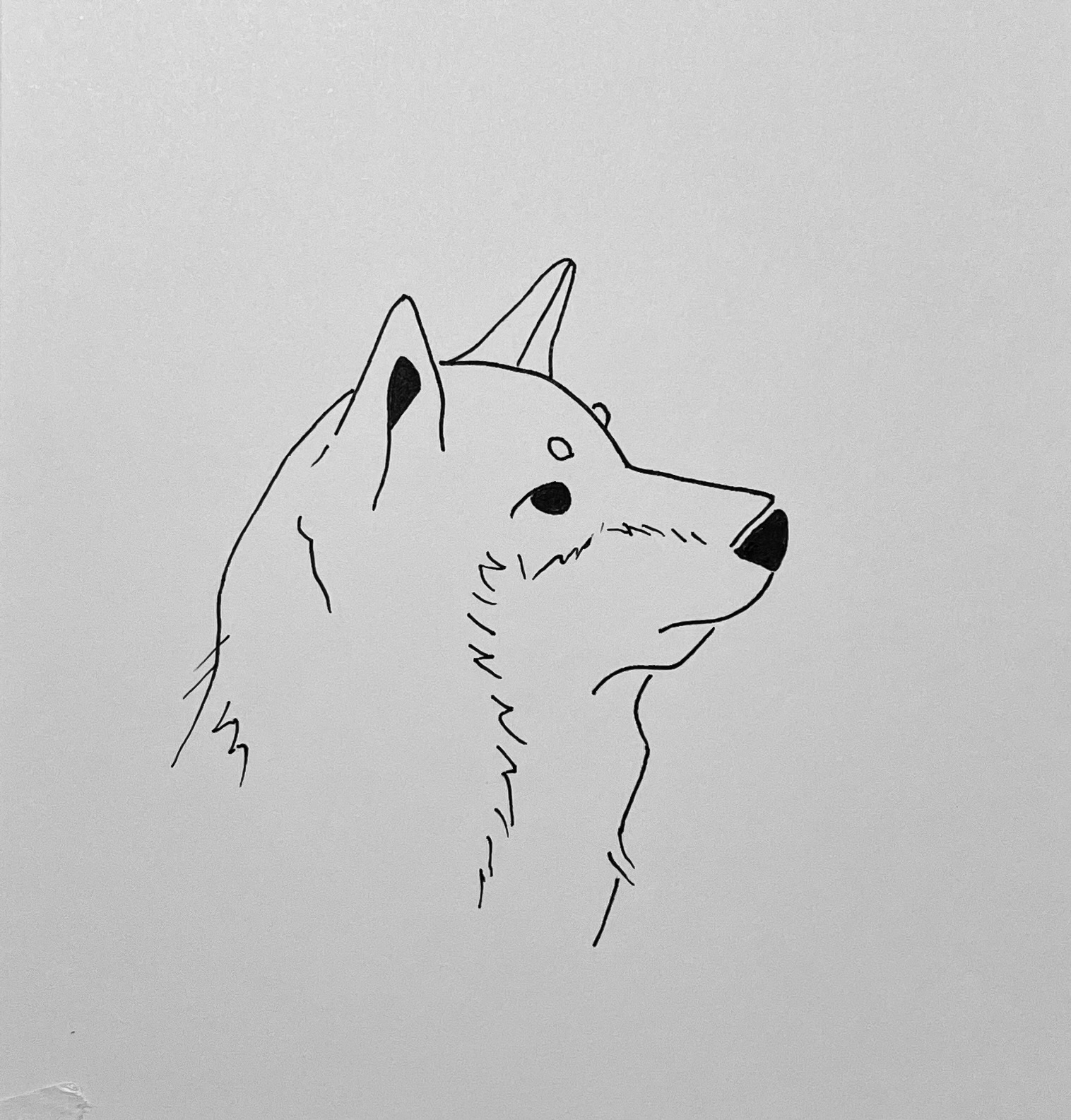 EggnWorks Museum エッグンワークス ミュージアム 柴犬(文字無し)